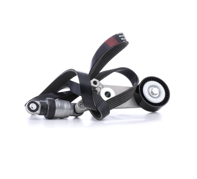 STARK SKRBS-1200863 Poly V-riem set TOYOTA COROLLA (ZZE12_, NDE12_, ZDE12_) 136 Pk Benzine kosten