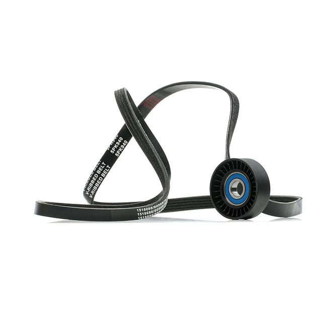 RIDEX 542R0889: Jogo de correias trapezoidais estriadas