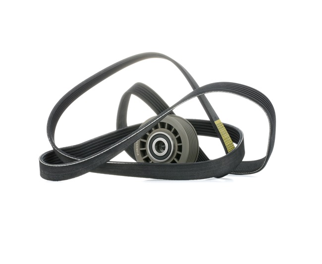 STARK SKRBS-1200892: Poly V-riem set