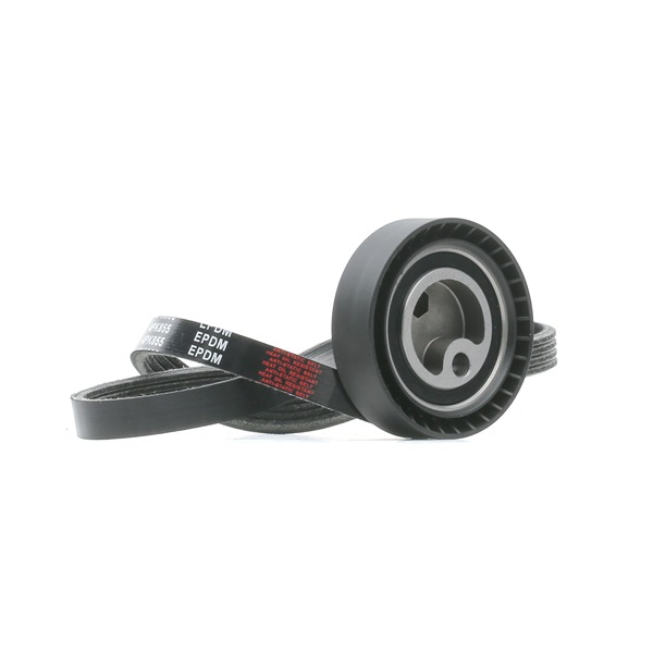 RIDEX 542R0927: Jeu de courroies trapézoïdales à nervures
