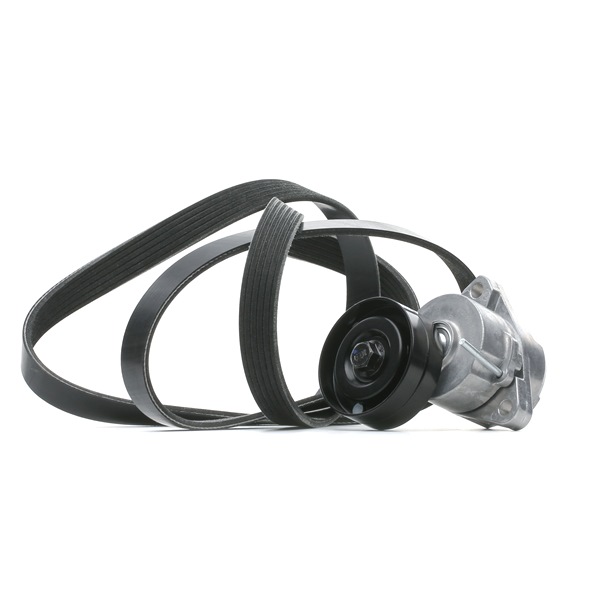 STARK SKRBS-1200931: Poly V-riem set