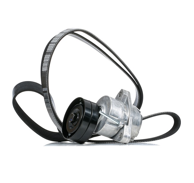 RIDEX 542R0933 Комплект пистов ремък VAUXHALL Frontera Mk2 (B) SUV (U99) 136 K.C. бензин цена