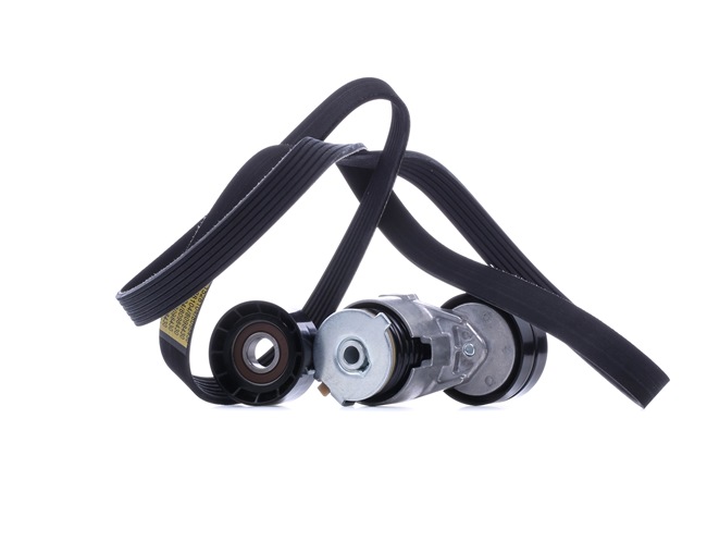RIDEX 542R0935 Keilrippenriemensatz RENAULT TRAFIC 2 Bus (JL) 101 PS Diesel Kosten
