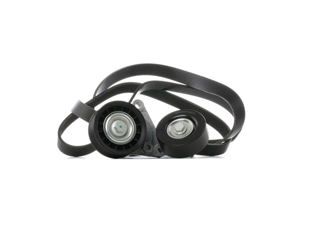 RIDEX 542R0950 Σετ ιμάντων poly-V MAZDA MX-5 3 (NC) 173 PS Βενζίνη κόστος
