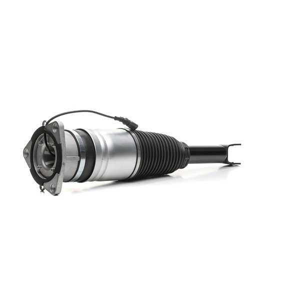 RIDEX 4118A0100: Amortizor pneumatic spate dreapta