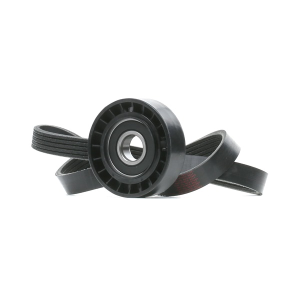 RIDEX 542R0969: Moniurahihnasarja