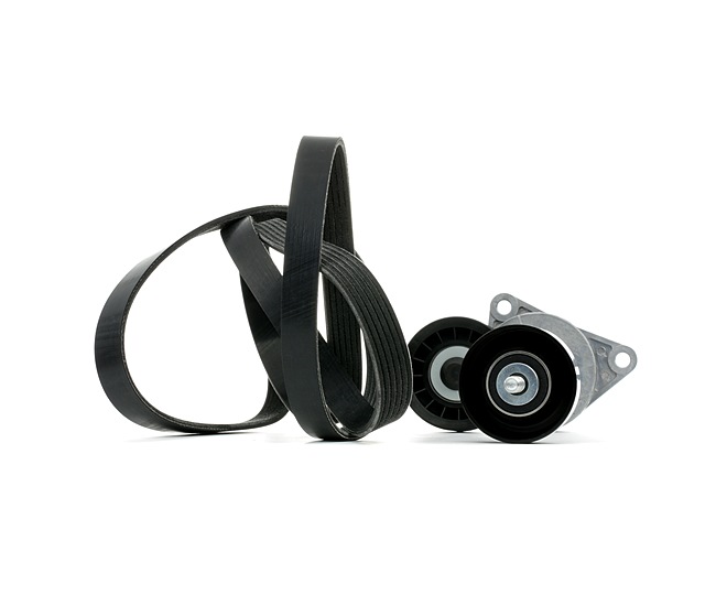 RIDEX 542R0978 Комплект пистов ремък FORD FOCUS (DAW, DBW) 215 K.C. бензин цена