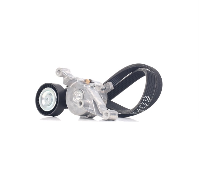 STARK SKRBS-1200985: Poly V-riem set