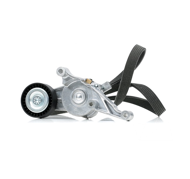 RIDEX 542R0987 Σετ ιμάντων poly-V VW Multivan 5 (7HM 84 PS Πετρέλαιο κόστος