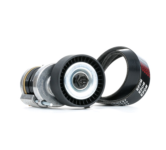 STARK SKRBS-1200990: Poly V-riem set