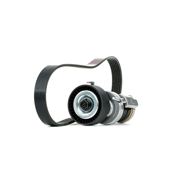 RIDEX 542R0992 Keilrippenriemensatz SKODA Fabia 1 Combi (6Y5) 80 PS Benzin Kosten
