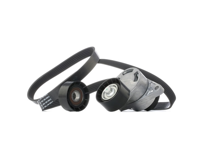 STARK SKRBS-1200995: Poly V-riem set