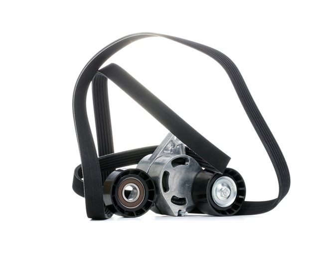 RIDEX 542R0997 Poly V-riem set RENAULT MASTER 2 Pritsche/Fahrgestell (ED/HD/UD) 90 Pk Diesel kosten