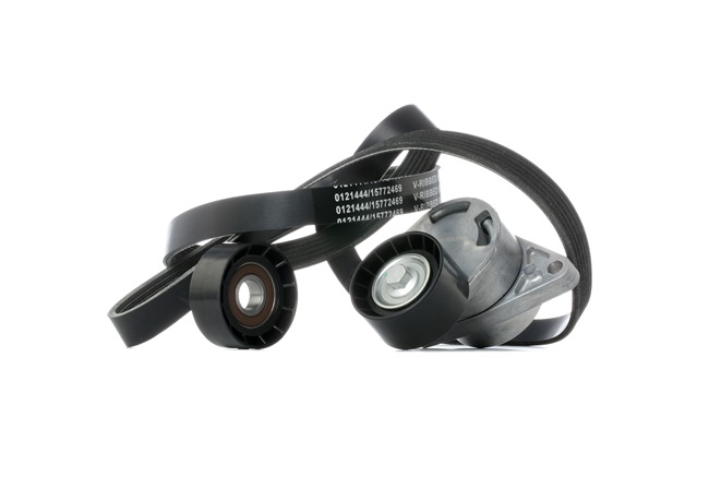 STARK SKRBS-1200997: Poly V-riem set