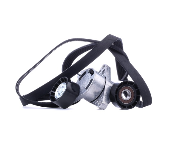 RIDEX 542R0999 Poly V-riem set RENAULT MASTER 2 Pritsche/Fahrgestell (ED/HD/UD) 90 Pk Diesel kosten