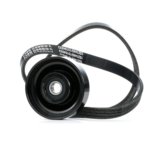 RIDEX 542R1013: Set curea transmisie cu caneluri