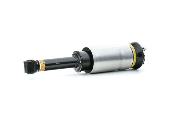 RIDEX 4118A0111: Luftfederbein vorne