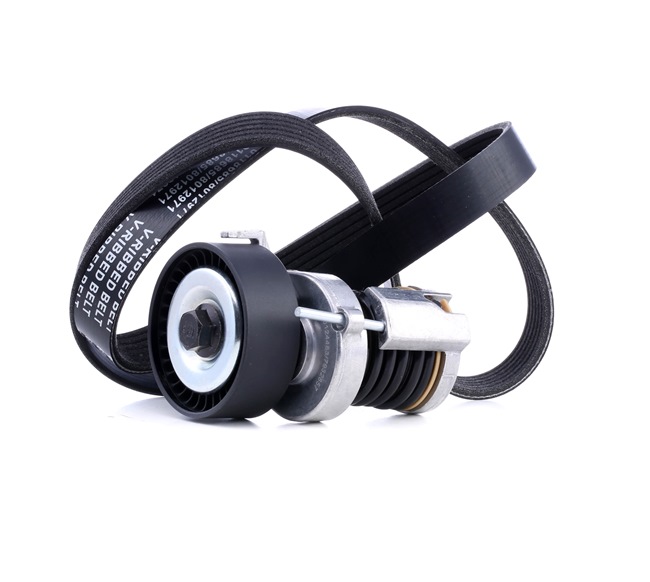 STARK SKRBS-1201017: Poly V-riem set