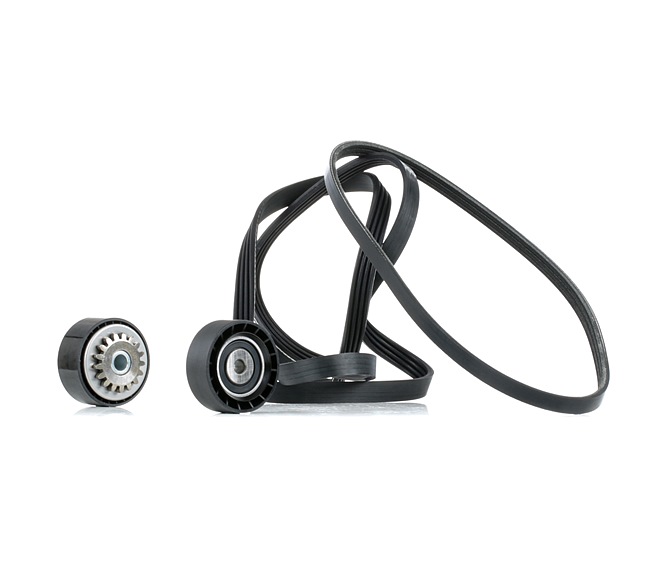 RIDEX 542R1020 Jogo de correias trapezoidais estriadas RENAULT CLIO 2 (BB0/1/2, CB0/1/2) 54 cv Gasolina custo