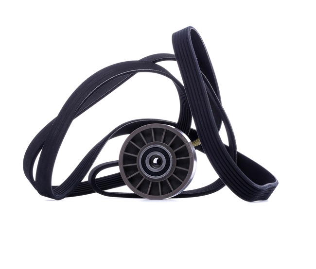 RIDEX 542R1041: Jeu de courroies trapézoïdales à nervures