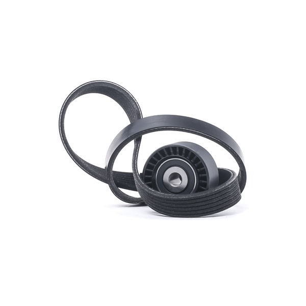 RIDEX 542R1054 Keilrippenriemensatz CITROЁN C3 II (SC_) 68 PS Benzin Kosten