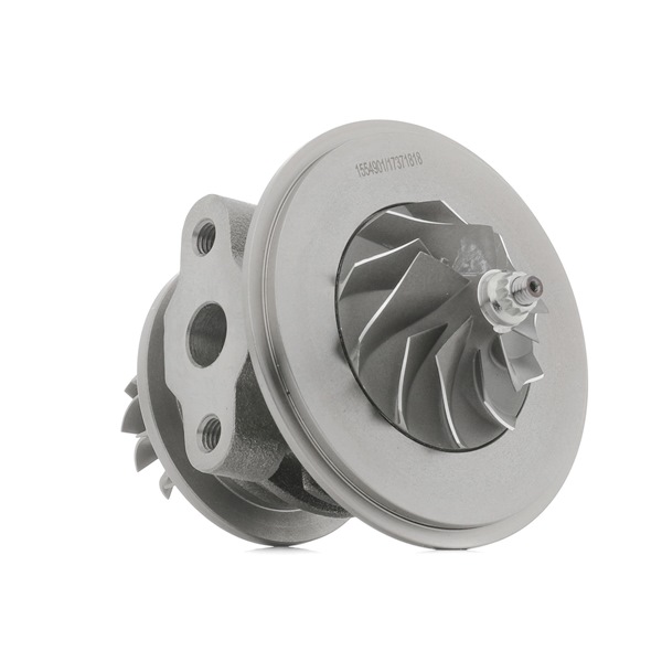 RIDEX 4973C0267: Turbo patroon