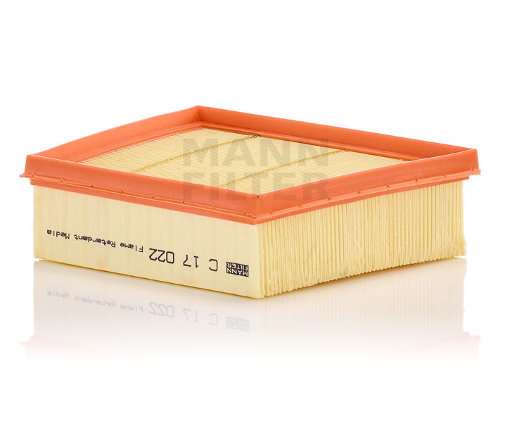 MANN-FILTER C 17 022: Luchtfilter