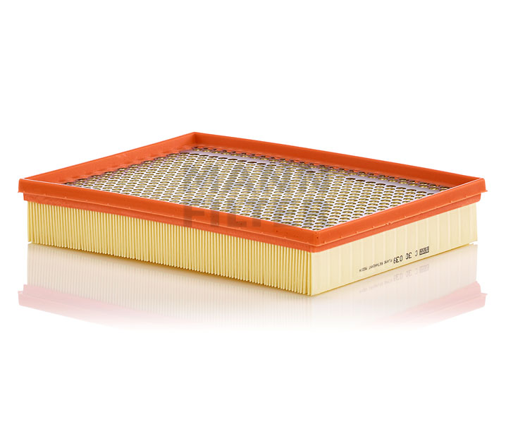 MANN-FILTER C 30 039: Filtro aria