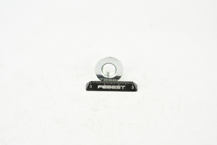 FEBEST 0198-015 Sturzkorrekturschrauben TOYOTA RAV 4 II (CLA2_, XA2_, ZCA2_, ACA2_) 2.0 D 4WD (CLA20_, CLA21_) 116 PS Diesel