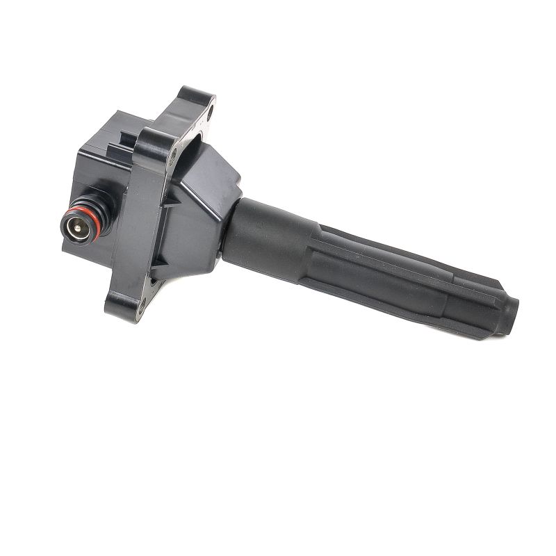 DELPHI CE20038-12B1: Bobine 12V, 1-polig