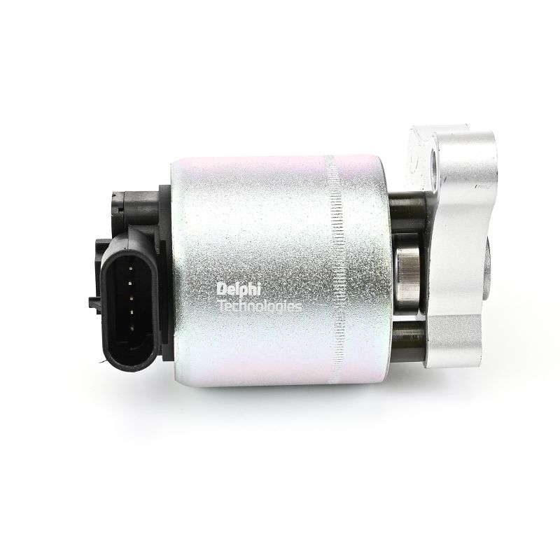 DELPHI EG10003-12B1: Βαλβίδα AGR