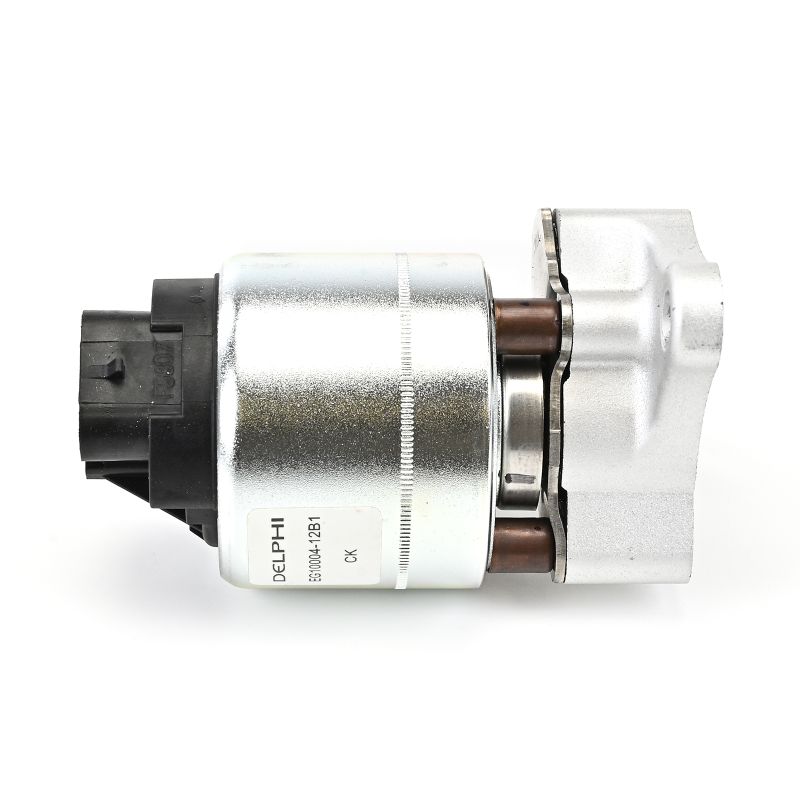 DELPHI EG10004-12B1: Βαλβίδα AGR