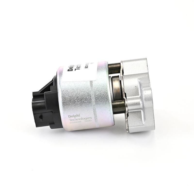 DELPHI EG10006-12B1: Βαλβίδα AGR
