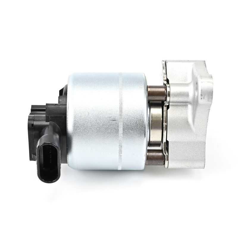 DELPHI EG10007-12B1: Βαλβίδα AGR