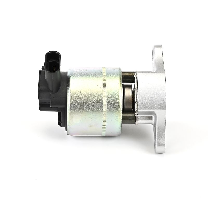 DELPHI EG10015-12B1: Βαλβίδα AGR