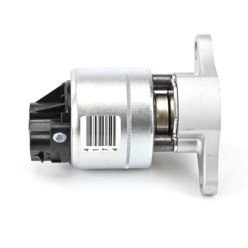 DELPHI EG10255-12B1: Βαλβίδα AGR