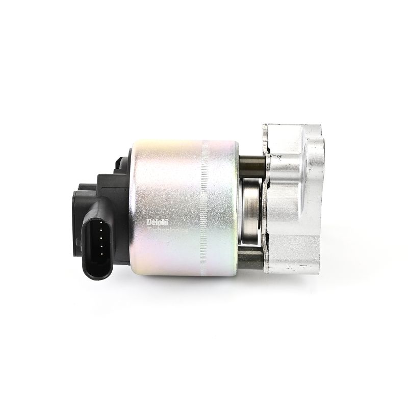 DELPHI EG10256-12B1: EGR klep