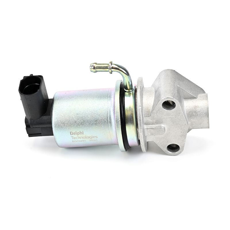 DELPHI EG10290-12B1: Válvula EGR