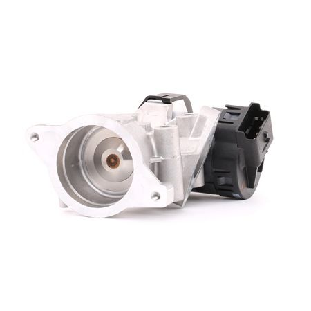 DELPHI EG10395-12B1: EGR klep
