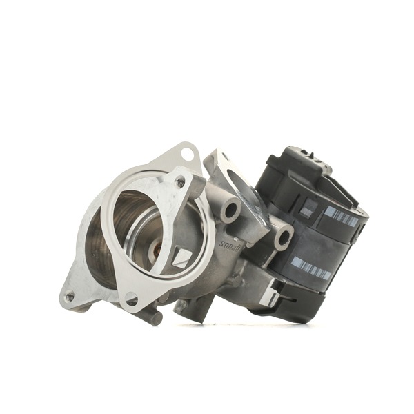 DELPHI EG10396-12B1: EGR klep Zonder pakking