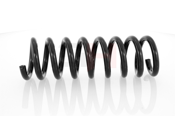 GH GH-223307: Fahrwerksfeder Hinterachse, Hinterachse rechts, Hinterachse links