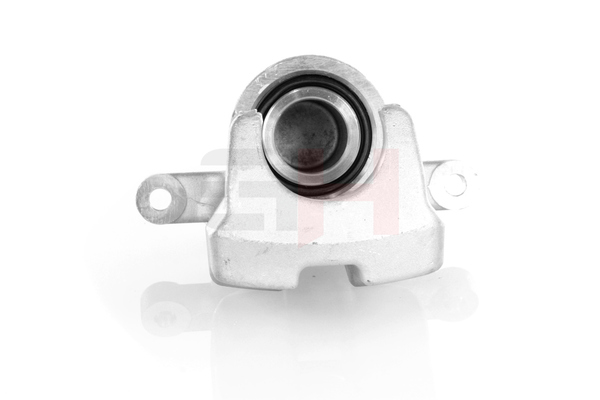 GH GH-454505V: Bremssattel Hinterachse, Hinterachse links