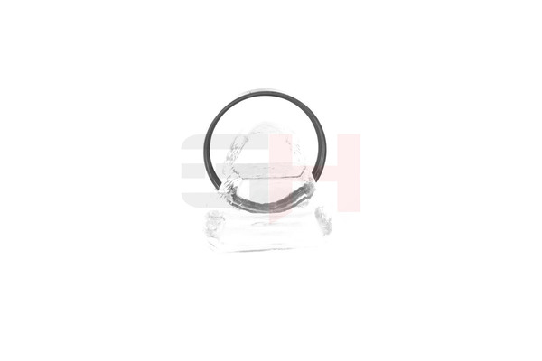 GH GH-493763: Inel senzor, ABS puntea spate, dreapta, stanga, Axa spate dreapta, Axa spate stanga