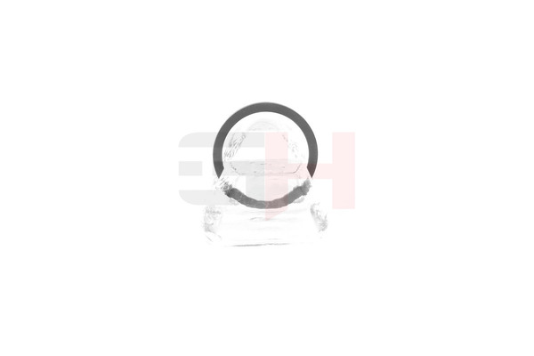 GH GH-493985: Anillo sensor, ABS Eje trasero, derecha, izquierda, Eje trasero, derecha, Eje trasero izquierda