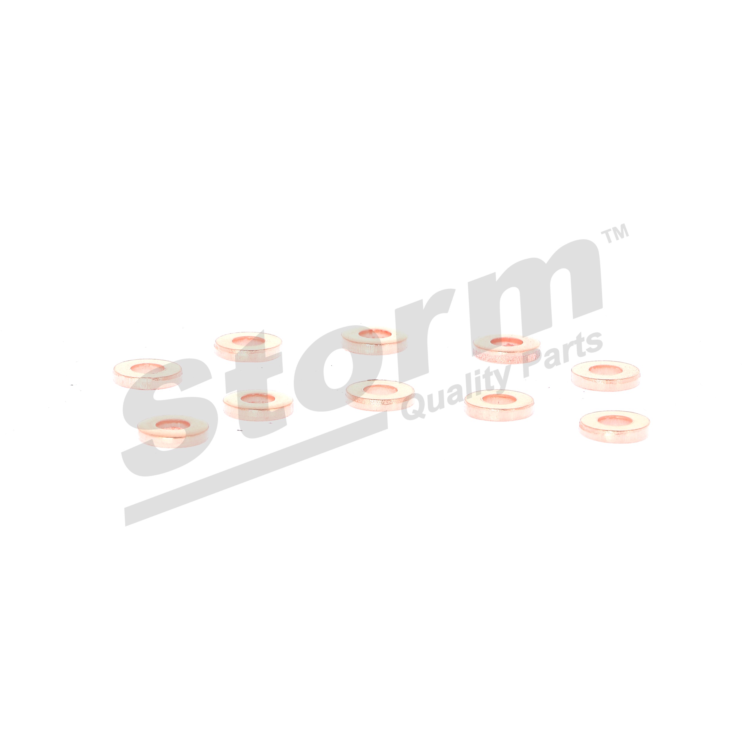 STORM QUALITY PARTS 46000000216: Dichtring, Einspritzventil
