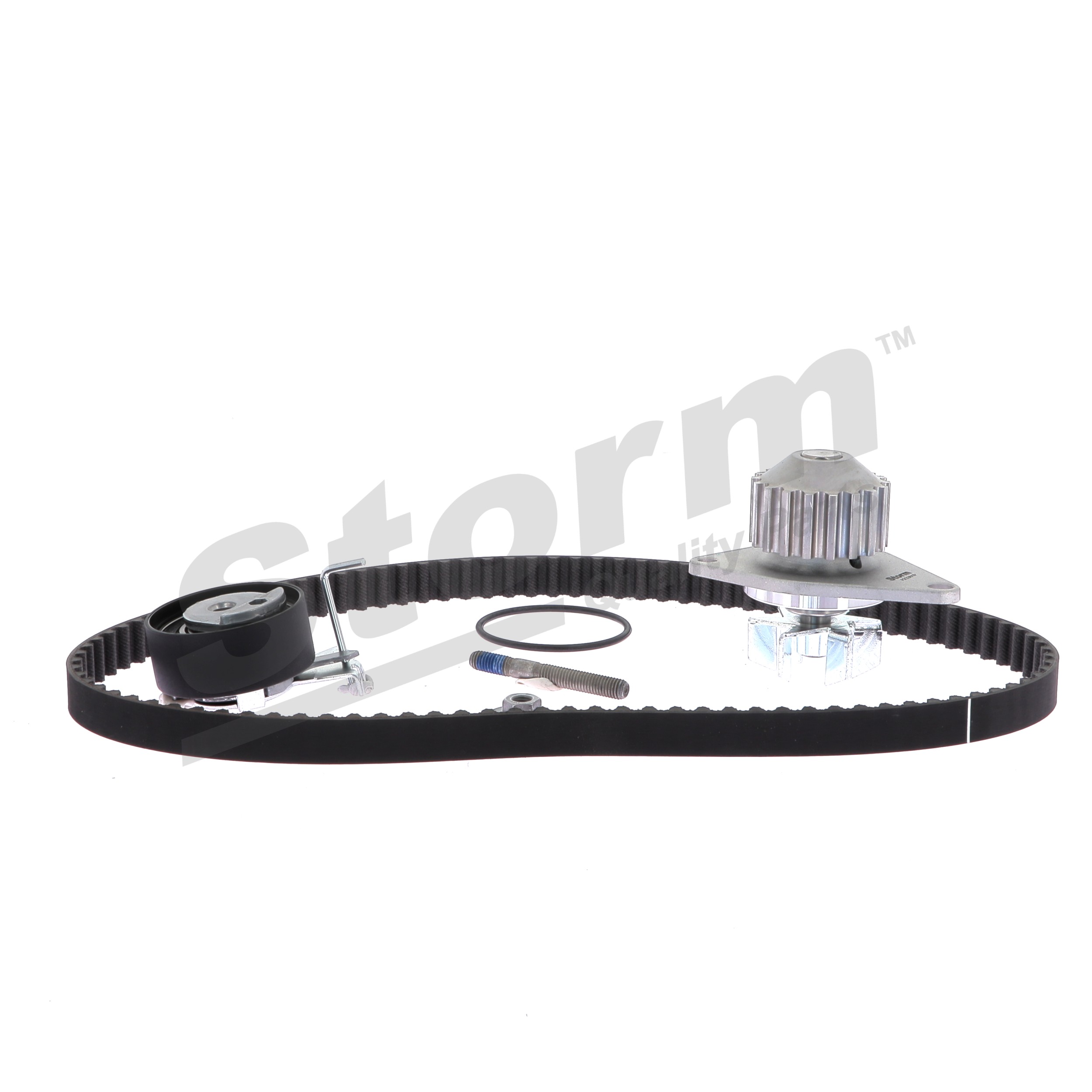 STORM QUALITY PARTS 904463KP: Bomba de agua + kit de correa de distribución Núm. dientes: 100, Ancho: 170, 25mm, con bomba de agua, con junta, con accesorios