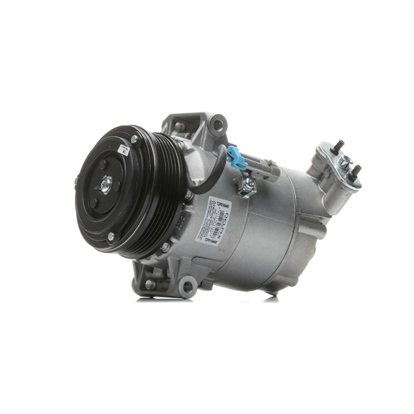 DELPHI TSP0155449: Compressore aria condizionata con olio compressore-PAG