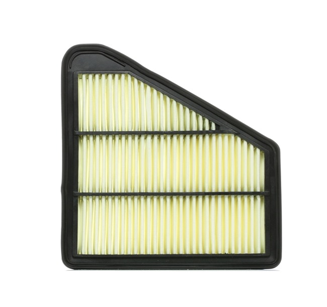 JPN 20F4087-JPN: Filtro aria