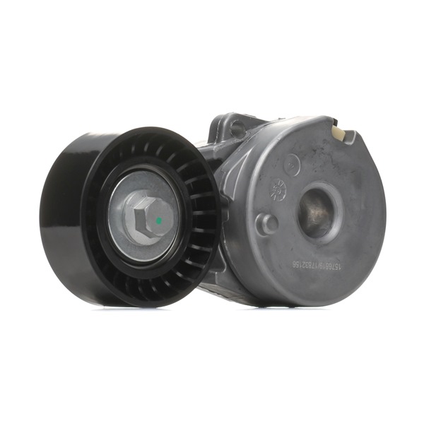RIDEX 310T0566 Rullo tenditore cinghia Poly-V ALPINE A110 II 252 CV Benzina costo