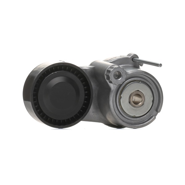 RIDEX 310T0571 Spanrol, poly V-riem OPEL ZAFIRA TOURER C (P12) 134 Pk Diesel kosten